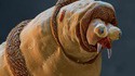 Un asticot au microscope