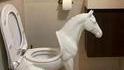 "A caca sur mon bidet !..."