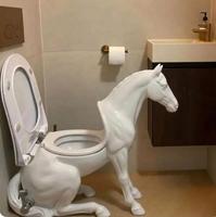 "A caca sur mon bidet !..."
