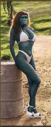 Miss planete singe