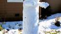 Long cat des neiges
