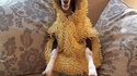 Une chèvre dans un canard