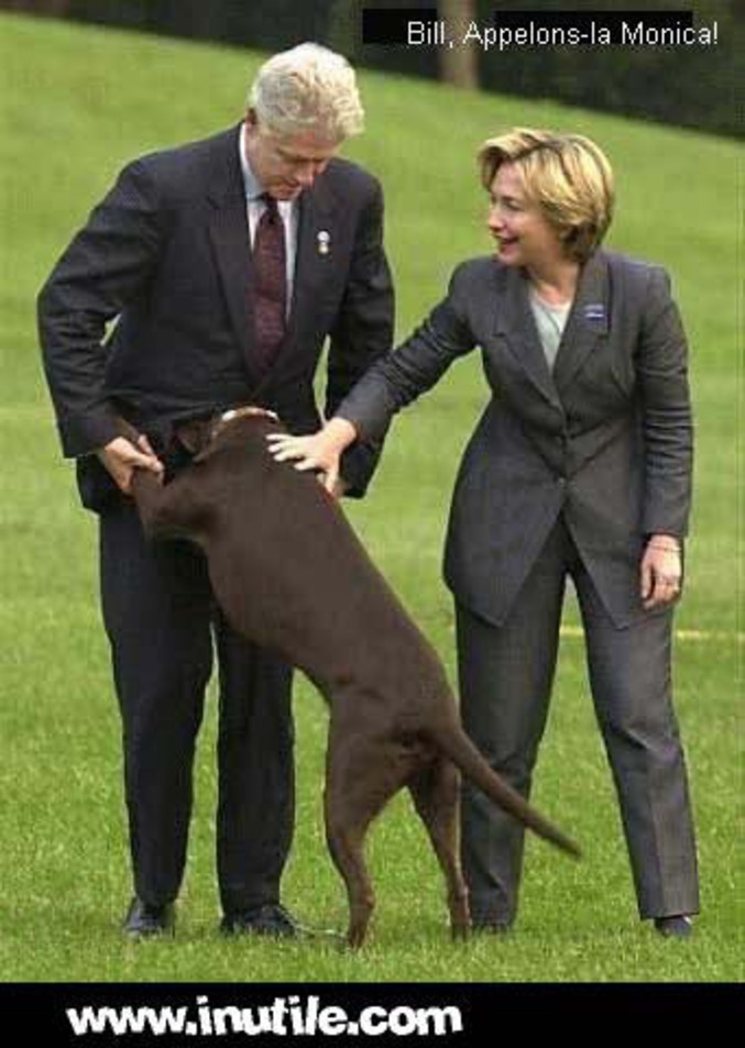 Un chien qui aime son maître.. Bill Clinton