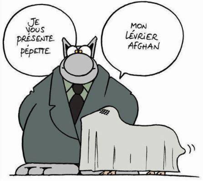 Dessin de Philippe Gelluck, pour la série de BD 'Le Chat'.