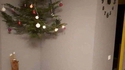 La solution pour votre sapin