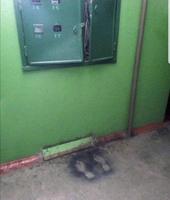 "Marcel, ne touche pas aux fils de l'armoire électrique !