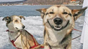 Sourire