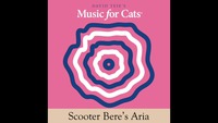 Musique pour chats