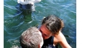 Flipper se prend un vent