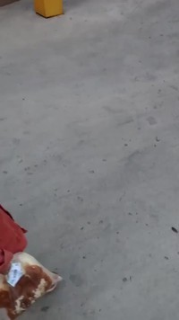 Problème de grande personne