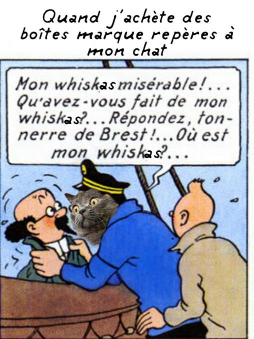 Source : Neurchibald de Tintin https://www.facebook.com/groups/2189510671267500/