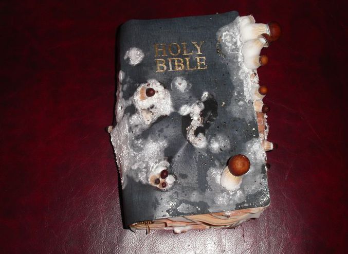 Une bible laissée dans un bien triste état
