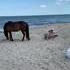 Picnic à la plage.