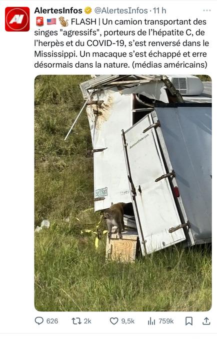 Aggressif…. Y’a peut être une raison de leur agressivité 