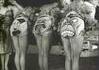 Cabaret anglais pendant WW2. Portraits d'Hitler, Mussolini et Hiro-Hito