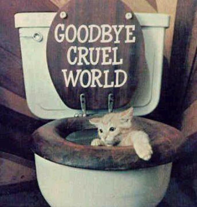 Adieu monde cruel