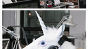 Mon collègue est une licorne