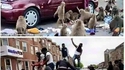 Je ne suis pas raciste du tout, ceci n'est que pure allégorie.