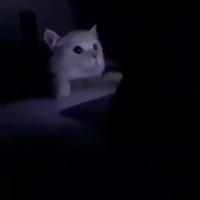 Quand quelqu’un allumer la lumière 