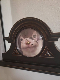 Horloge chat