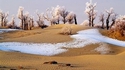 Désert de Takliman