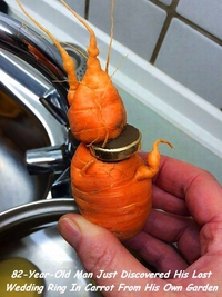 Retrouver miraculeusement une carotte en ramassant son alliance