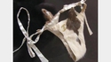 Maillot de bain de luxe