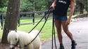 Se faire tirer par son poney