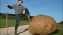 Grosse pomme de terre