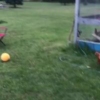 Compétition de foot