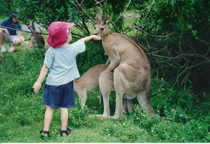 Un enfant qui donne à manger à l'animal pendant qu'il fait l'amour