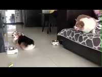 Les couples après un mois de confinement 