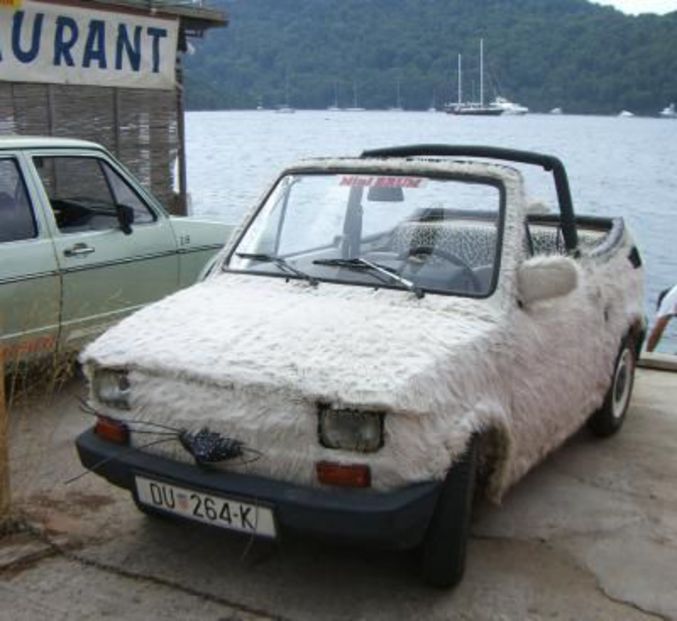 Une voiture avec une carrosserie à poil.