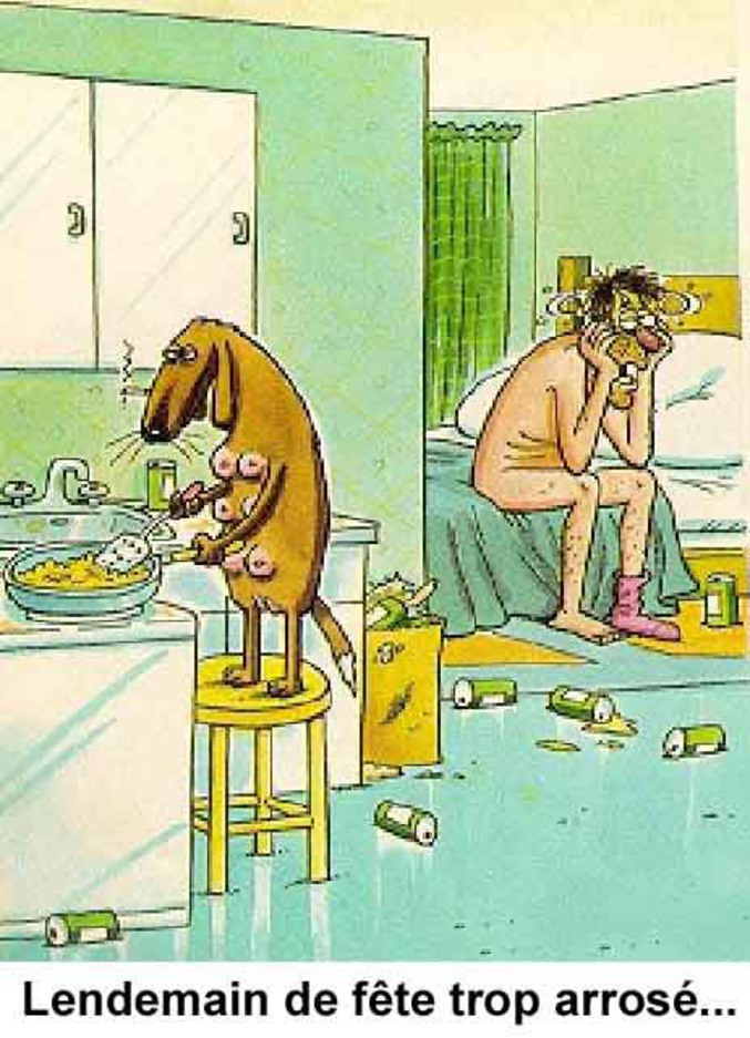 Un lendemain de soirée trop arrosé.