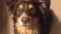 Le chien de Chuck Testa