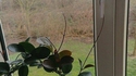 Escape game pour plantes
