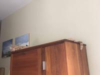 Long cat is loooooooong !