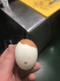 Kan Hitler se refait en neuf, parce que l'œuf dure !