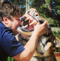 Un homme mord un tigre