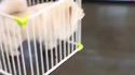 Nouvelle saison de Prison break