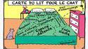 Les chats et les lits