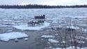 Migration de caribous sur des blocs de glace