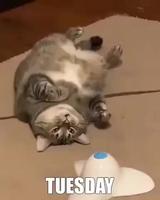 C’est parti pour une nouvelle semaine 