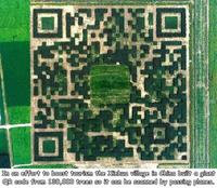 Idée chinoise : un QR code qu'on peut scanner d'un avion, et constitué par des bosquets d'arbres