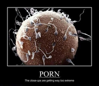 Zoom pornographique