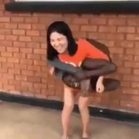 La nouvelle ceinture à la mode