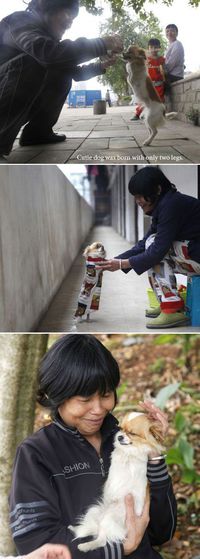 Chien à deux pattes