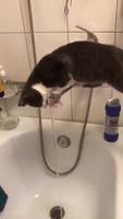 Technique pour boire