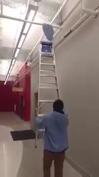 Comment je fais pour récupérer ça ? Utilise l'échelle, imbécile !