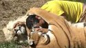Les animaux et les humains sont de bons amis